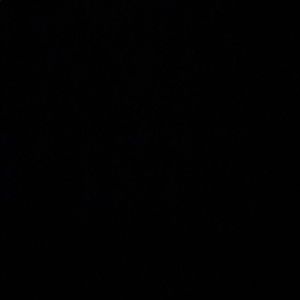 Meet your Posher, Lidia